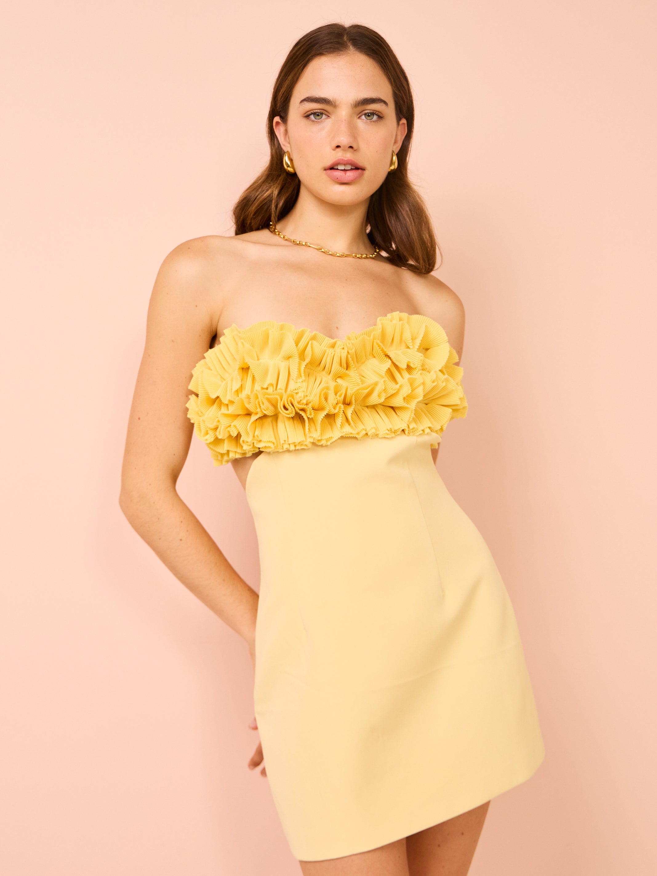 Tojha Lia Dress in Lemon  Coco & Lola