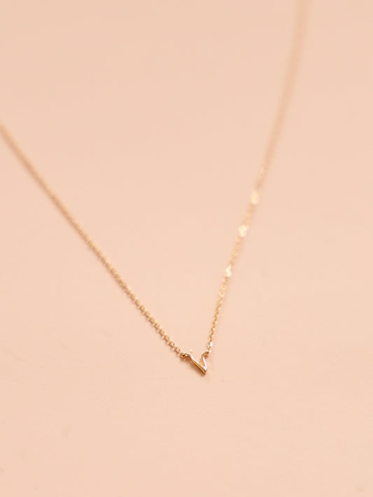 By Charlotte 14k Gold Love V Necklace in Gold