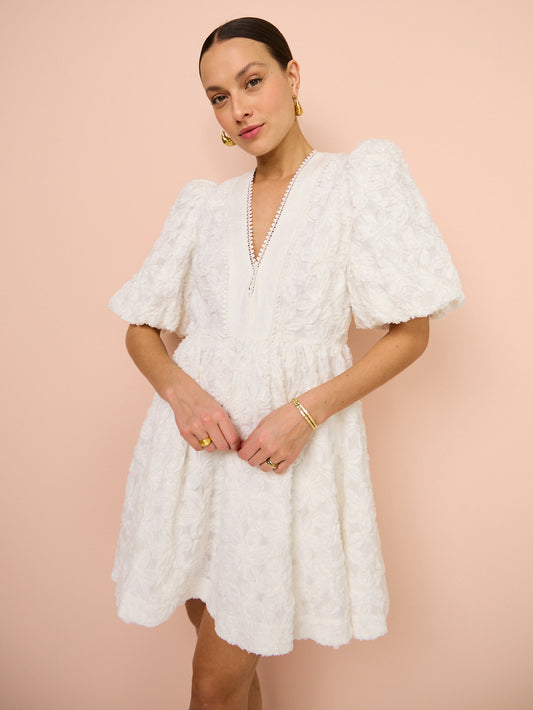 Alemais Iggy Embroidered Mini Dress in Cream