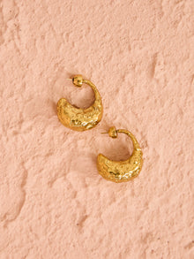 Alemais Luna Dropped Earrings in Gold