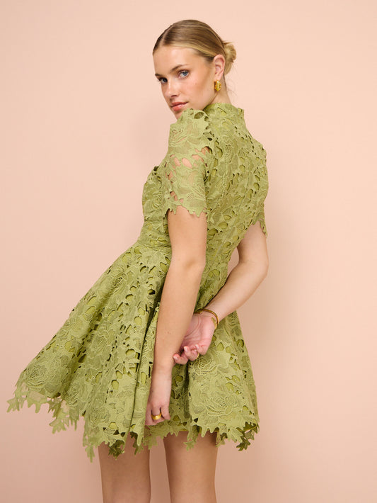 Leo Lin Elise Lace Short Sleeve Mini Dress in Olive
