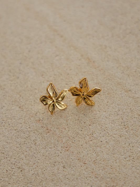 Arms of Eve Lily Earrings in Gold