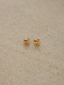 Arms of Eve Starfish Studs in Gold