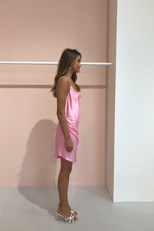 Carver Ivet Dress in Floss