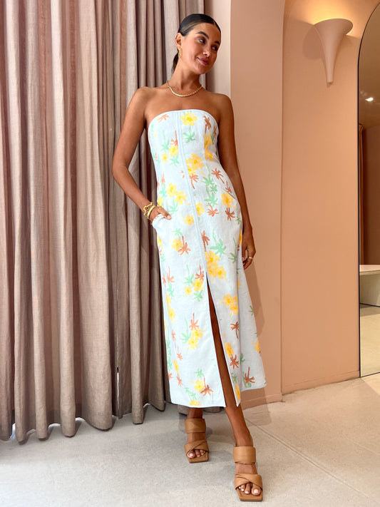 Roame Amulet Dress in Palmero