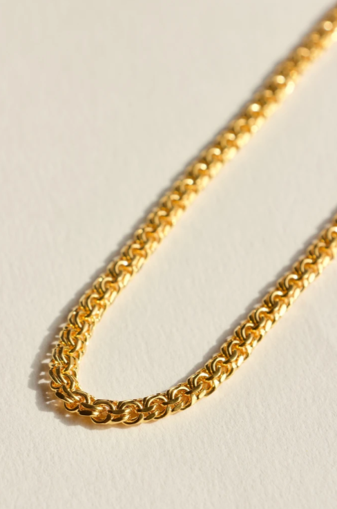Brie Leon Fornida Chain Necklace in Gold