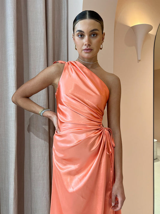 Sonya Nour Peach Maxi Dress in Peach